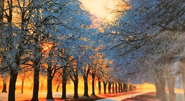 CR de l&rsquo;atelier d&rsquo;écriture du 15 janvier 2026